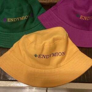 3 Krewe of Endymion Mardi Gras 2026 hats